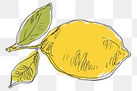 PNG  Continuous line drawing lemon doodle fruit plant food.