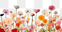 PNG  Collage Retro dreamy spring flowers outdoors blossom nature.