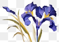 PNG Abstract iris ripped paper art flower petal.