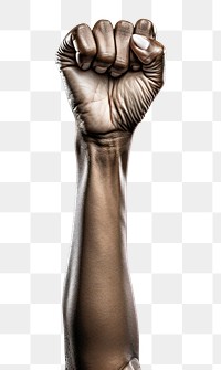 PNG  Hand adult woman fist.