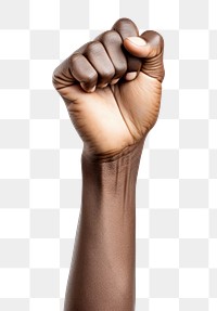 PNG  Hand adult woman fist.