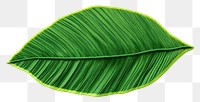 PNG  Banan leaf in embroidery style plant freshness nature.