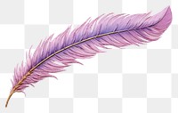 PNG  Feather in embroidery style purple lightweight accessories.