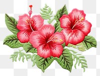 PNG  Hibicus in embroidery style hibiscus pattern flower.