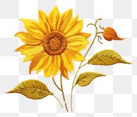 PNG  Sunflower in embroidery style pattern plant inflorescence.