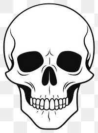 PNG Skeleton skull sketch drawing white.