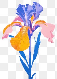 PNG Iris flower petal plant art