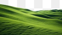 PNG Foliage landscape grass green. AI generated Image by rawpixel.