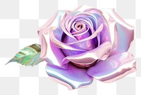 PNG  Blooming rose iridescent flower plant white background.