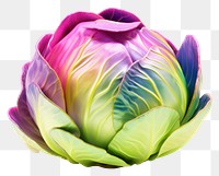 PNG  Brussel sprout iridescent vegetable cabbage plant.
