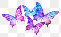 PNG  Butterflies iridescent butterfly animal insect.