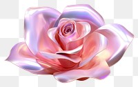 PNG  Rose petal iridescent flower plant white background.