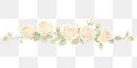 PNG White roses as line watercolour illustration flower plant white background.