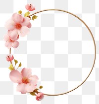 PNG Blossom flower plant accessory.