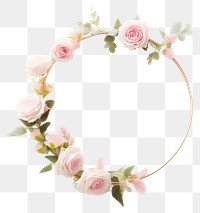 PNG Flower plant rose accessory.