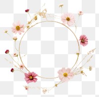 PNG  Flower jewelry cosmos wreath.