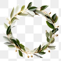 PNG  Wreath circle plant white background.