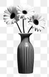 PNG Photography of flowers in the black modern vase monochrome daisy plant.