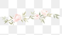 PNG Cute peonies branch as line watercolour illustration pattern flower plant.