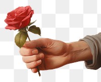 PNG Hand holding red rose painting flower petal.