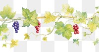 PNG Vine boarder grapes plant leaf.