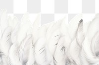 PNG White feathers boarder backgrounds accessories copy space.