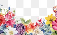 PNG White flower boarder backgrounds pattern petal.