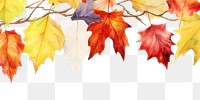 PNG Autumn leave backgrounds leaves maple.