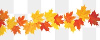 PNG Autumn leave backgrounds leaves maple.