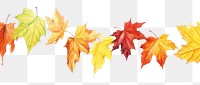 PNG Autumn leave backgrounds leaves maple.