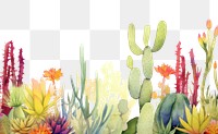 PNG Cactus boarder backgrounds outdoors plant.