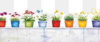 PNG Flower pots boarder windowsill plant arrangement.