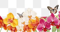 PNG Orchid and butterfly boarder flower petal plant.