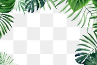 PNG Palm leaves boarder backgrounds outdoors nature.