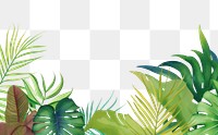 PNG Palm leaves boarder backgrounds vegetation outdoors.
