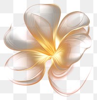 PNG Petal light abstract pattern.