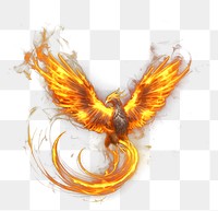 PNG Phoenix bird yellow fire black background.