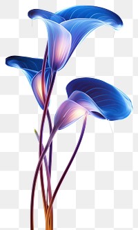 PNG Illustration calla lily neon rim light nature flower purple.