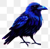 PNG Illustration crow Neon rim light purple animal bird.