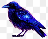 PNG Illustration crow Neon rim light animal purple bird.