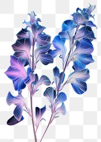 PNG Illustration delphinium neon rim light purple flower petal.