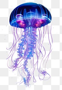 PNG Illustration jellyfish neon rim light purple blue invertebrate.