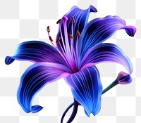 PNG Illustration lily neon rim light purple flower plant.