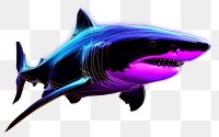 PNG Illustration shark neon rim light animal purple fish.