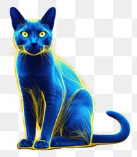 PNG Illustration Siamese cat neon rim light portrait animal mammal.