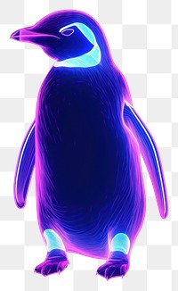 PNG Illustration penguin neon rim light animal purple line.