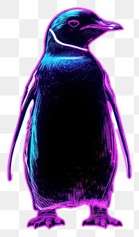 PNG Illustration penguin neon rim light animal purple bird.