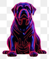PNG Illustration Rottweiler neon rim light purple rottweiler bulldog.
