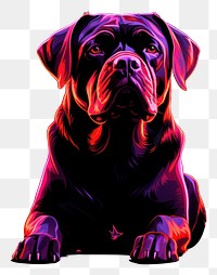 PNG Illustration Rottweiler neon rim light purple bulldog animal.