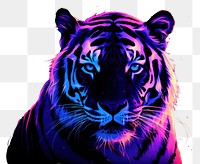 PNG Illustration roaring Bengal tiger neon rim light wildlife portrait animal.